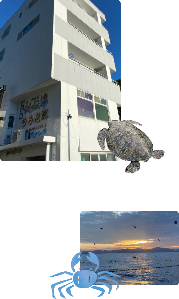 漁師の素泊まり宿